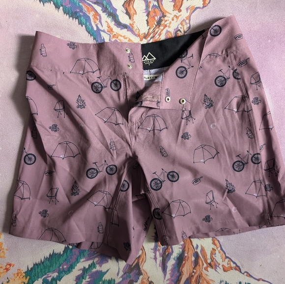 Wild Rye MTB shorts - Picture 1 of 2